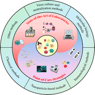 Graphical abstract: An overview of influenza A virus detection methods: from state-of-the-art of laboratories to point-of-care strategies