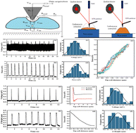 Graphical abstract: Probing action potentials of single beating cardiomyocytes using atomic force microscopy