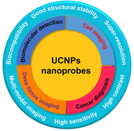 Graphical abstract: Lanthanide-doped upconversion nanoparticles as nanoprobes for bioimaging