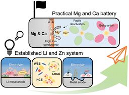 Graphical abstract: Insights from Li and Zn systems for advancing Mg and Ca metal batteries