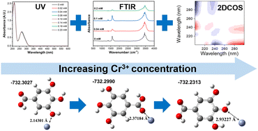Graphical abstract: Characterization of the binding process between gallic acid and trivalent chromium in tannery wastewater: a spectroscopic perspective