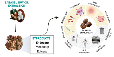 Graphical abstract: Bioactive compounds and benefits of by-products of Amazon babassu oil production: potential for dietary supplement, biomedical and food applications