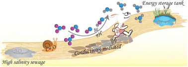 Graphical abstract: Conductivity-mediated in situ electrochemical reconstruction of CuOx for nitrate reduction to ammonia