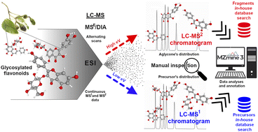 Graphical abstract: LC-MS/DIA-based strategy for comprehensive flavonoid profiling: an Ocotea spp. applicability case