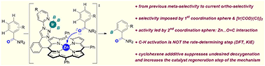 Graphical abstract: Repurposing a supramolecular iridium catalyst via secondary Zn⋯O [[double bond, length as m-dash]] C weak interactions between the ligand and substrate leads to ortho-selective C(sp2)–H borylation of benzamides with unusual kinetics