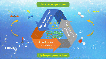 Graphical abstract: Built-in electrophilic/nucleophilic domain of nitrogen-doped carbon nanofiber-confined Ni2P/Ni3N nanoparticles for efficient urea-containing water-splitting reactions