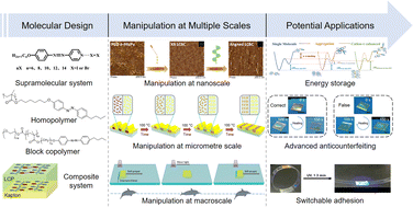 Graphical abstract: Manipulation of photoresponsive liquid-crystalline polymers and their applications: from nanoscale to macroscale