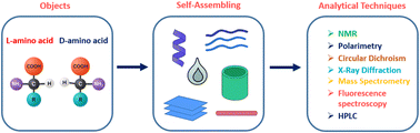 Graphical abstract: Importance of chirality in the self-organizing peptides – from single molecules to functional supramolecular structures