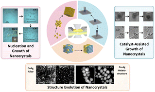 Graphical abstract: In situ transmission electron microscopy characterization and manipulation of the morphology, composition and phase evolution of nanomaterials under microenvironmental conditions