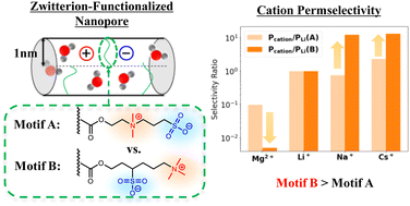 Graphical abstract: Cation selectivities in zwitterion grafted nanopores: effect of zwitterion architecture