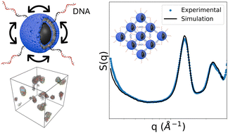 Graphical abstract: Assembly of small silica nanoparticles using lipid-tethered DNA ‘bonds’