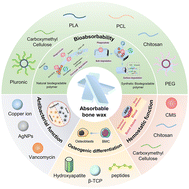 Graphical abstract: Component design and functionalization of absorbable bone wax: from bench to bedside