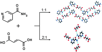 Graphical abstract: Nicotinamide fumaric acid supramolecular cocrystals: diversity of stoichiometry