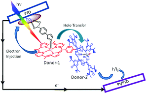 Graphical abstract: Enhanced photocurrents via redox modulation by fluoride binding to oxoporphyrinogen in a zinc porphyrin-oxoporphyrinogen surface modified TiO2 supramolecular solar cell