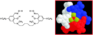 Graphical abstract: Linking [FeIII3] triangles with “double-headed”phenolic oximes