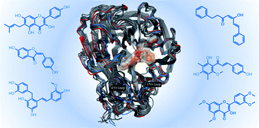 Graphical abstract: Influenza neuraminidase: A druggable target for natural products