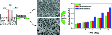 Graphical abstract: Novel nanofibrous composite of chitosan–CaCO3 fabricated by electrolytic biomineralization and its cell biocompatibility