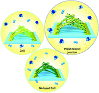 Graphical abstract: Design of highly sensitive volatile organic compound sensors by controlling NiO loading on ZnO nanowire networks