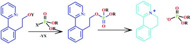 Graphical abstract: Chemical approaches for detection and destruction of nerve agents