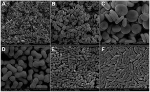 Graphical abstract: Generalized green synthesis of diverse LnF3–Ag hybrid architectures and their shape-dependent SERS performances