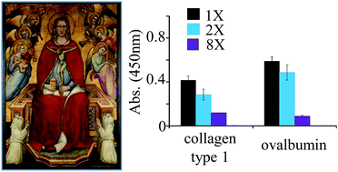 Graphical abstract: Development and application of an ELISA method for the analysis of protein-based binding media of artworks