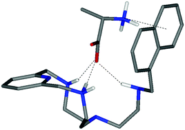 Graphical abstract: A thermodynamic insight into the recognition of hydrophilic and hydrophobic amino acids in pure water by aza-scorpiand type receptors