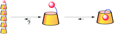 Graphical abstract: Cyclodextrin-adamantane conjugates, self-inclusion and aggregation versus supramolecular polymer formation