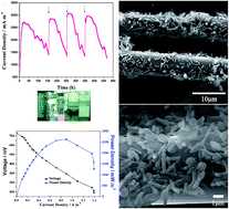 Graphical abstract: A high performance xylose microbial fuel cell enabled by Ochrobactrum sp. 575 cells