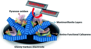 Graphical abstract: Calixarene modified montmorillonite: a novel design for biosensing applications