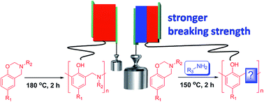 Graphical abstract: A curing system of benzoxazine with amine: reactivity, reaction mechanism and material properties