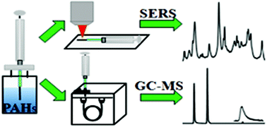 Graphical abstract: Silver nanoparticle aggregates on metal fibers for solid phase microextraction–surface enhanced Raman spectroscopy detection of polycyclic aromatic hydrocarbons