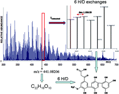 Graphical abstract: Synthesis of model humic substances: a mechanistic study using controllable H/D exchange and Fourier transform ion cyclotron resonance mass spectrometry