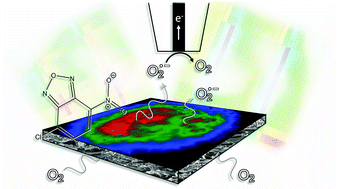 Graphical abstract: Reactive oxygen species formed in organic lithium–oxygen batteries