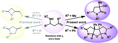 Graphical abstract: γ-Lactams and furan bispyrrolidines via iodine mediated cyclisation of homoallylamines