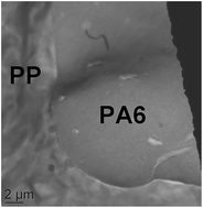 Graphical abstract: Ionic compatibilization of polypropylene/polyamide 6 blends using an ionic liquids/nanotalc filler combination: morphology, thermal and mechanical properties