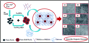 Graphical abstract: Novel magnetic antimicrobial nanocomposites for bone tissue engineering applications