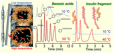 Graphical abstract: Thermoresponsive hydrophobic copolymer brushes modified porous monolithic silica for high-resolution bioseparation