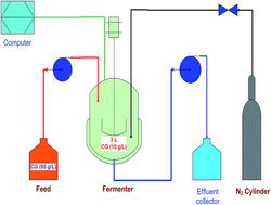 Graphical abstract: Low cost semi-continuous bioprocess and online monitoring of hydrogen production from crude glycerol