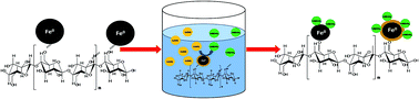Graphical abstract: In situ reductive regeneration of zerovalent iron nanoparticles immobilized on cellulose for atom efficient Cr(vi) adsorption