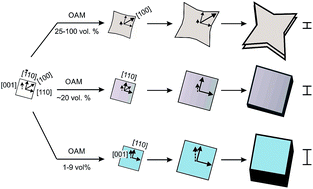 Graphical abstract: Reproducible shape control of single-crystal SnO micro particles