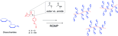 Graphical abstract: The synthesis and ring-opening metathesis polymerization of glycomonomers