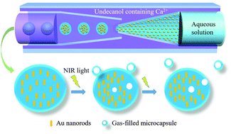 Graphical abstract: Light-triggered generation of multifunctional gas-filled capsules on-demand