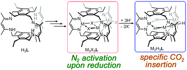 Graphical abstract: Insights into small molecule activation by multinuclear first-row transition metal cyclophanates