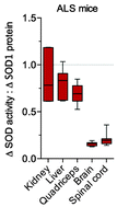 Graphical abstract: Endogenous Cu in the central nervous system fails to satiate the elevated requirement for Cu in a mutant SOD1 mouse model of ALS