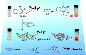 Graphical abstract: An organic indicator functionalized graphene oxide nanocomposite-based colorimetric assay for the detection of sarcosine