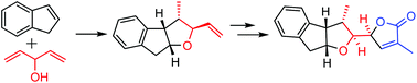 Graphical abstract: A highly efficient synthesis of the DEFG-ring system of rubriflordilactone B