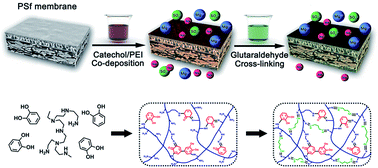 Graphical abstract: Composite nanofiltration membranes via the co-deposition and cross-linking of catechol/polyethylenimine