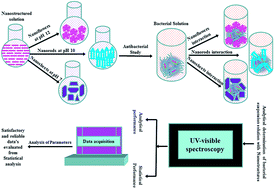 Graphical abstract: Antibacterial studies and statistical design set data of quasi zinc oxide nanostructures