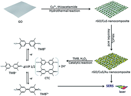 Graphical abstract: Synthesis of bifunctional reduced graphene oxide/CuS/Au composite nanosheets for in situ monitoring of a peroxidase-like catalytic reaction by surface-enhanced Raman spectroscopy