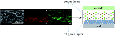 Graphical abstract: Preparation and evaluation of a separator with an asymmetric structure for lithium-ion batteries